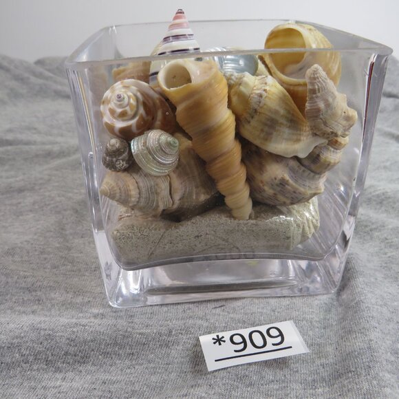REAL Sea Shells in a Glass Square Vase and sand #10 Larger - Picture 3 of 13